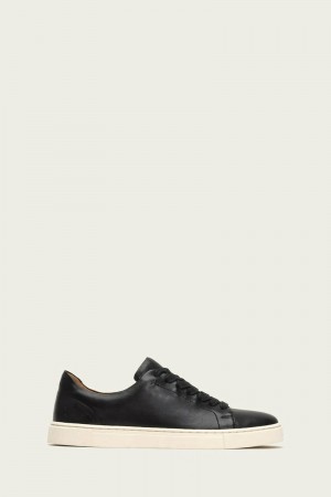 Black Frye Ivy Low Lace Women Sneakers | IHRZ06479
